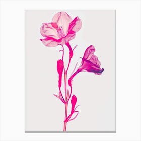 Hot Pink Freesia 3 Canvas Print