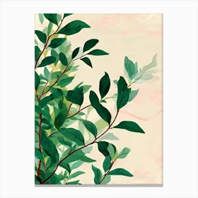 Green Leaves On A Branch 1 Canvas Print