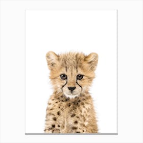 Baby Cheetah Canvas Print