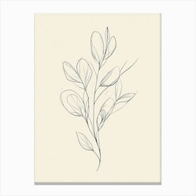 Simple Drawing Of A Leaf 1 Canvas Print