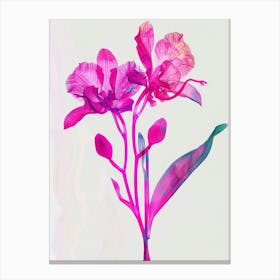 Hot Pink Orchid 1 Canvas Print