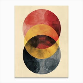 Circles Of Color Canvas Print