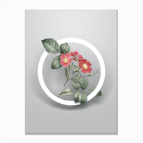 Vintage Redleaf Rose Minimalist Floral Geometric Circle on Soft Gray n.0101 Canvas Print