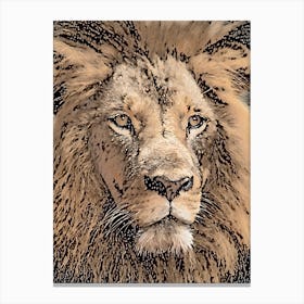 A Lion Head Close Up Canvas Print