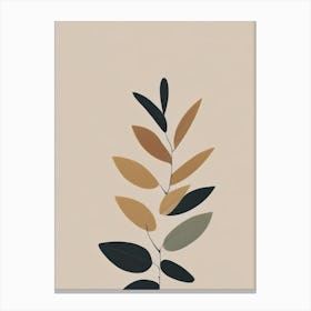 Myrrh Herb Simplicity Canvas Print