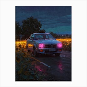 Car In The Field 1 Canvas Print