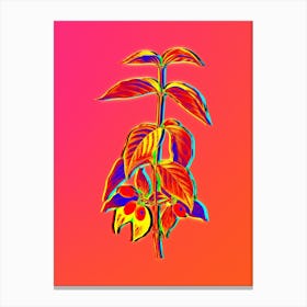 Neon Cornelian Cherry Botanical in Hot Pink and Electric Blue n.0193 Canvas Print