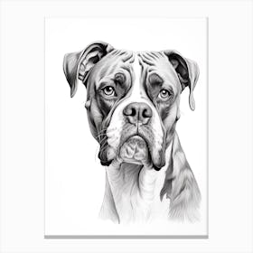 Boxer Dog, Line Drawing 4 Canvas Print