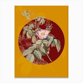 Vintage Botanical Apple Rose on Circle Red on Yellow n.0015 Canvas Print