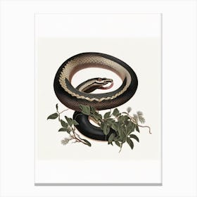 Black Mamba Snake Vintage Canvas Print