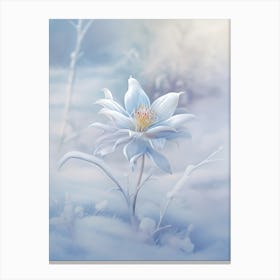 Beautiful Winter Flower 8 Canvas Print