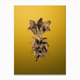 Gold Botanical Blood Red Lily Flower on Mango Yellow n.1688 Canvas Print