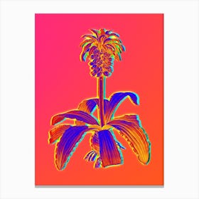 Neon Eucomis Regia Botanical in Hot Pink and Electric Blue n.0490 Canvas Print