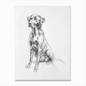 Chesapeake Bay Retriever Dog Charcoal Line 2 Canvas Print