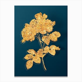 Vintage Pink Damask Rose Botanical in Gold on Teal Blue n.0012 Canvas Print