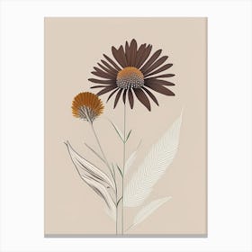 Echinacea Spices And Herbs Retro Minimal 2 Canvas Print
