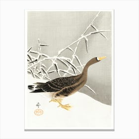 White Fronted Goose In The Snow (1900 1930), Ohara Koson Canvas Print
