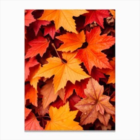 Autumn Leaves Background Canvas Print