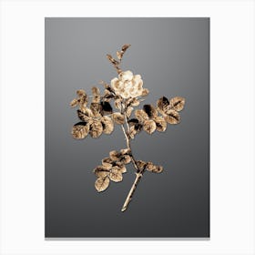 Gold Botanical Pink Sweetbriar Rose on Soft Gray n.0776 Canvas Print