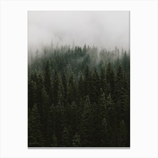 Forest 2 Canvas Print