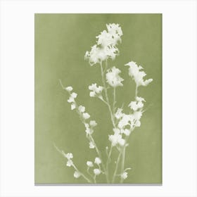 Monograph Green Canvas Print