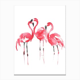 Flamingos 8 Canvas Print