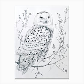Snowy Owl Marker Drawing 2 Canvas Print