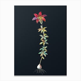 Vintage Wood Lily Botanical Watercolor Illustration on Dark Teal Blue n.0432 Canvas Print