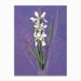 Vintage Yellow Banded Iris Botanical Illustration on Veri Peri n.0613 Canvas Print