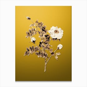 Gold Botanical White Burnet Roses on Mango Yellow n.1257 Canvas Print