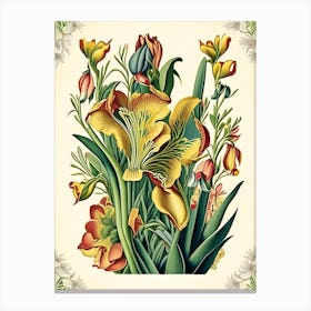 Freesia 2 Floral Botanical Vintage Poster Flower Canvas Print