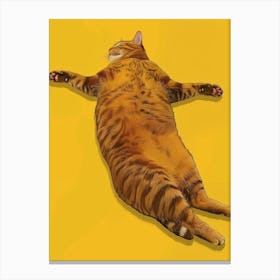 Cat Laying Down Canvas Print