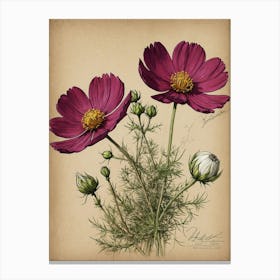 Cosmos 3 Canvas Print