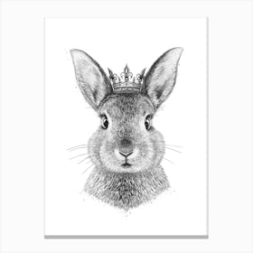 Queen Rabbit Canvas Print