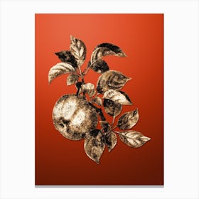 Gold Botanical Apple on Tomato Red n.4399 Canvas Print