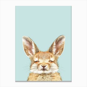 Hare Illustration 2 Canvas Print