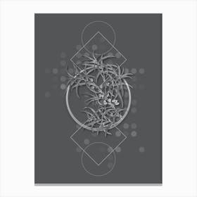 Vintage Common Sea Buckthorn Botanical with Line Motif and Dot Pattern in Ghost Gray n.0291 Canvas Print