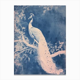 White & Blue Cyanotype Inspired Peacock Canvas Print