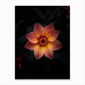 Orange Flower Canvas Print