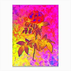 Provins Rose Botanical in Acid Neon Pink Green and Blue n.0155 Canvas Print