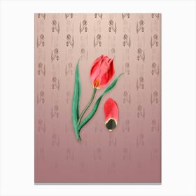 Vintage Sun's Eye Tulip Botanical on Dusty Pink Pattern n.1307 Canvas Print
