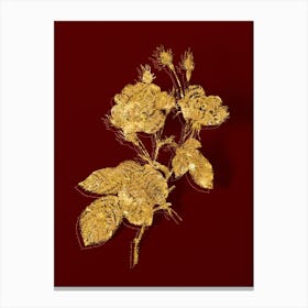 Vintage Anemone Centuries Rose Botanical in Gold on Red n.0316 Canvas Print