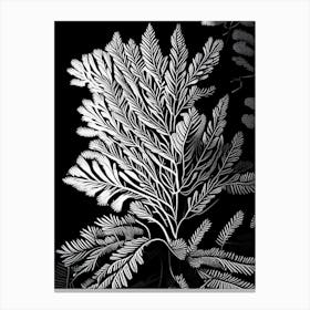 White Pine Leaf Linocut Canvas Print