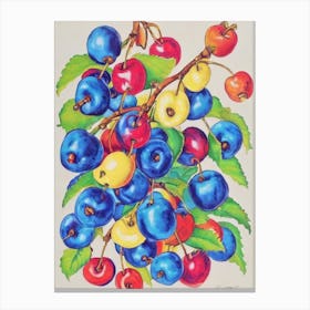 Surinam Cherry 1 Vintage Sketch Fruit Canvas Print