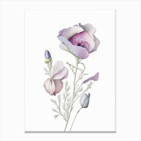 Eustoma Floral Quentin Blake Inspired Illustration 2 Flower Canvas Print