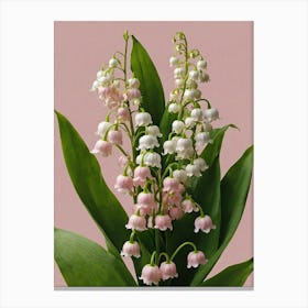 Lily Of The Valley 8 Canvas Print