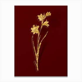 Vintage Painted Lady Botanical in Gold on Red n.0069 Canvas Print