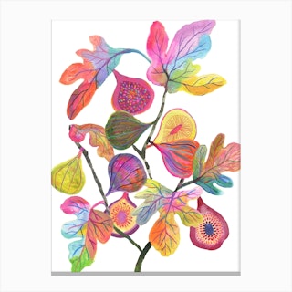 Colorful Figs White Canvas Print