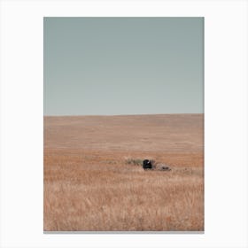 Resting Lonely Bison Canvas Print