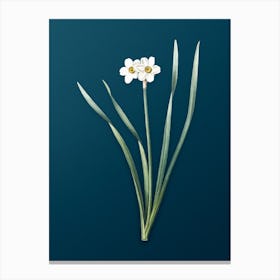 Vintage Primrose Peerless Botanical Art on Teal Blue n.0746 Canvas Print